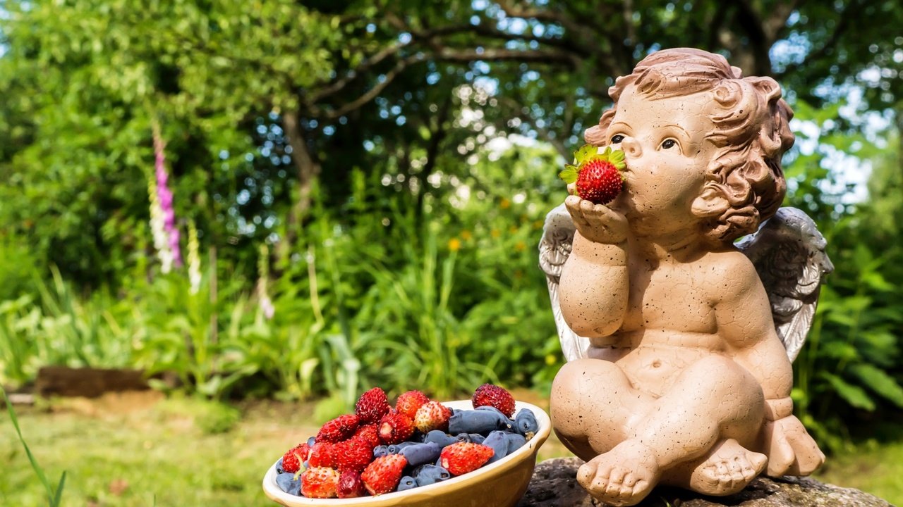 Обои статуэтка, ангел, ягоды, земляника, жимолость, figurine, angel, berries, strawberries, honeysuckle разрешение 3000x1955 Загрузить
