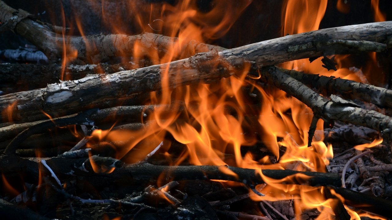 Обои огонь, костёр, хворост, fire, the fire, firewood разрешение 2400x1510 Загрузить