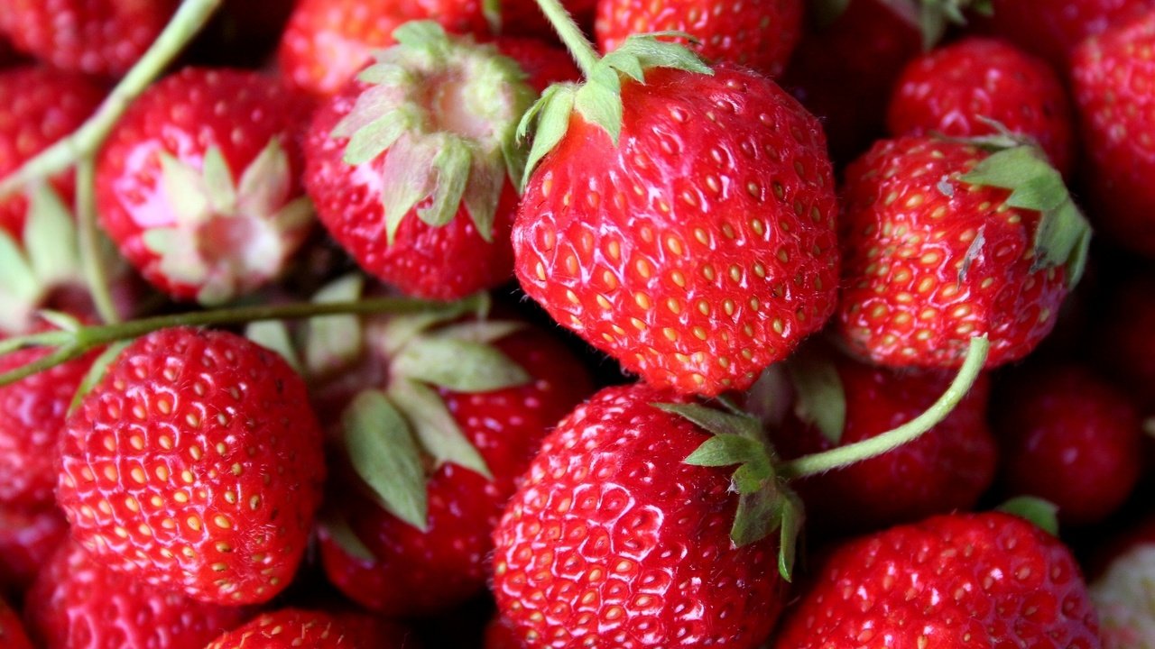 Обои красная, клубника, ягоды, red, strawberry, berries разрешение 2048x1365 Загрузить