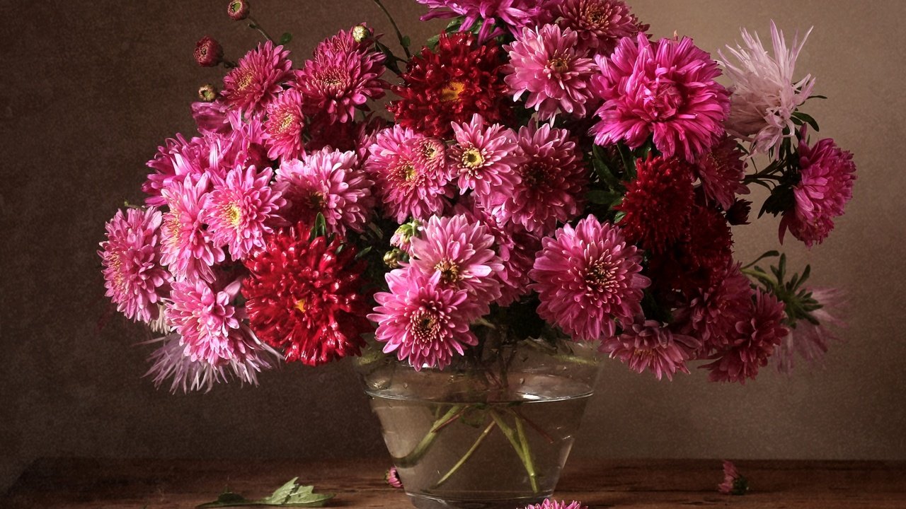 Обои осень, букет, хризантемы, autumn, bouquet, chrysanthemum разрешение 2200x1570 Загрузить