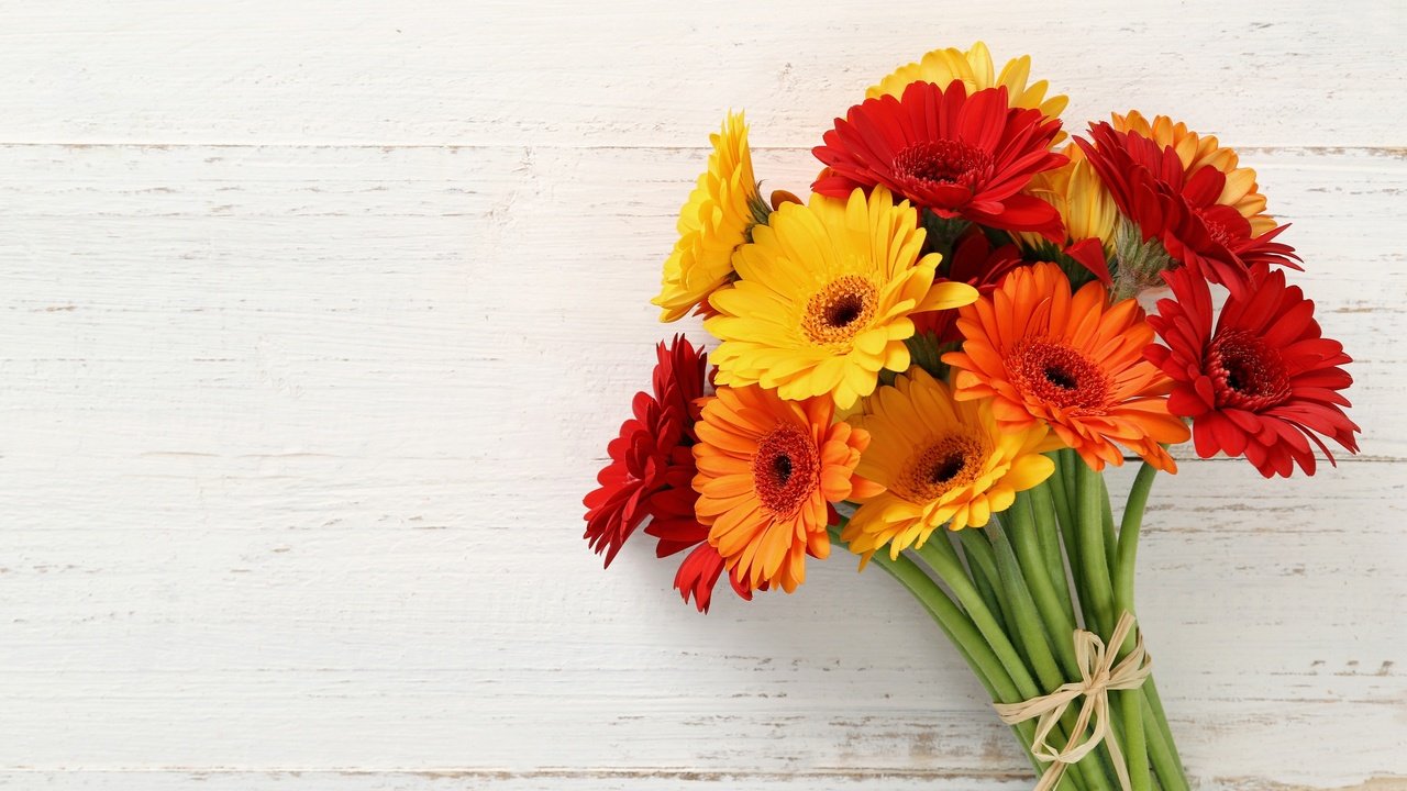 Обои красные, букет, желтые, оранжевые, герберы, букеты, gerberas, red, bouquet, yellow, orange, gerbera, bouquets разрешение 2880x1865 Загрузить