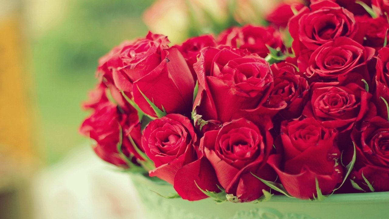 Обои цветы, розы, букет, flowers, roses, bouquet разрешение 1920x1219 Загрузить