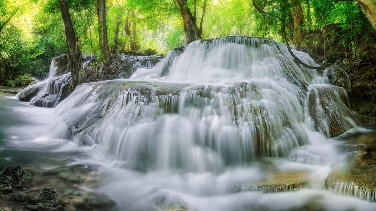 Обои деревья, вода, лес, водопад, поток, trees, water, forest, waterfall, stream разрешение 2048x1327 Загрузить