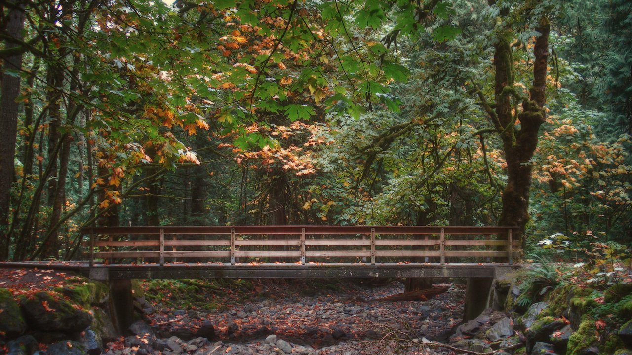 Обои мостик, лес, листва, мост, осень, опадают, осен,  листья, the bridge, forest, foliage, bridge, autumn, fall, leaves разрешение 2816x2112 Загрузить