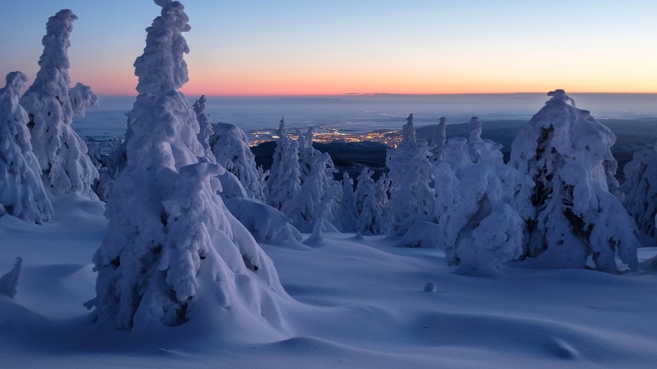 Обои деревья, harz mountains, горы гарц, снег, саксония-анхальт, зима, утро, рассвет, панорама, германия, сугробы, trees, the harz mountains, snow, saxony-anhalt, winter, morning, dawn, panorama, germany, the snow разрешение 2048x1365 Загрузить