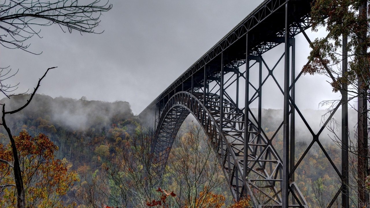 Обои деревья, лес, туман, мост, осень, trees, forest, fog, bridge, autumn разрешение 3840x2160 Загрузить