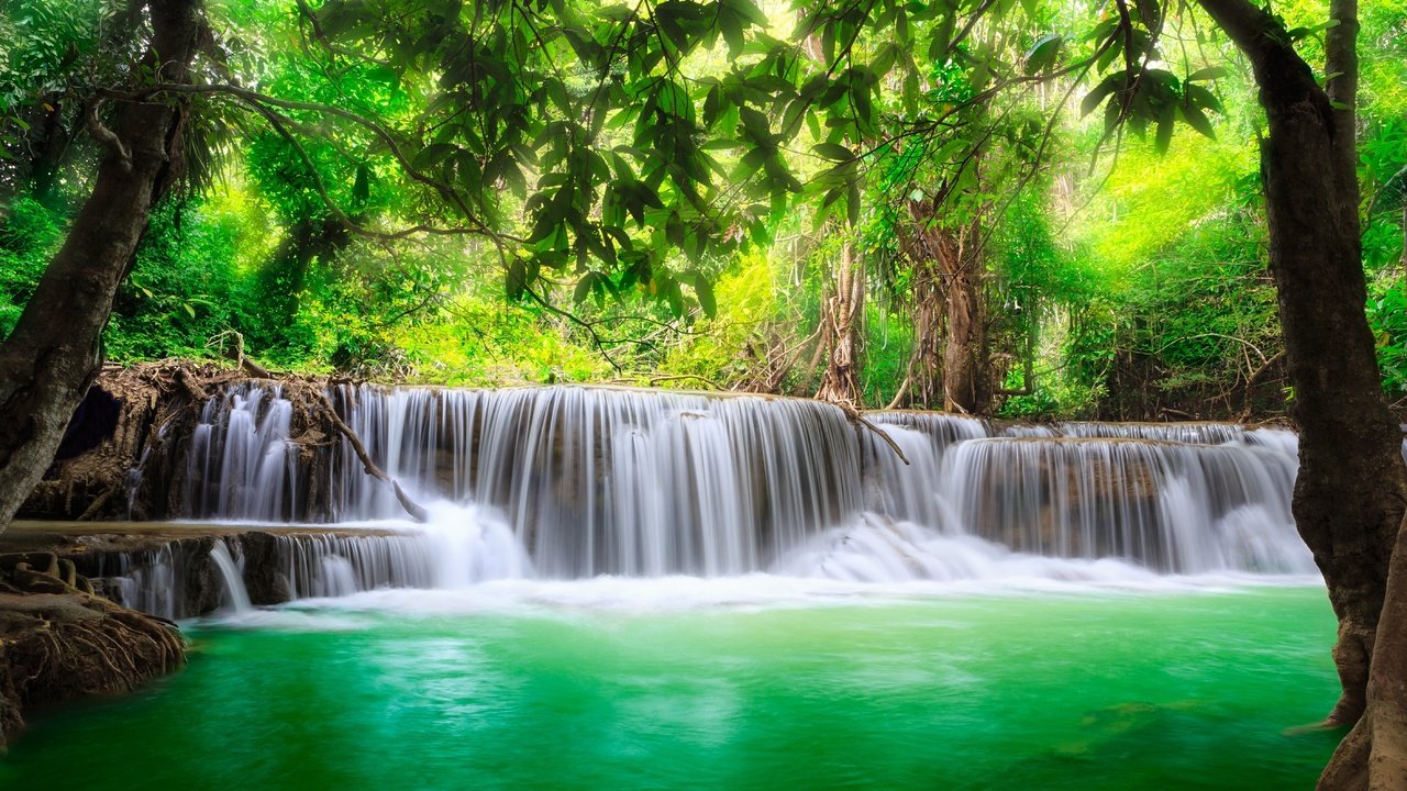 Обои деревья, водопад хуай мэй хамин, huay mae khamin waterfalls, река, khuean srinagarindra national park, водопад хуай мае кхамин, природа, лес, водопад, таиланд, джунгли, каскад, trees, river, nature, forest, waterfall, thailand, jungle, cascade разрешение 5618x3583 Загрузить