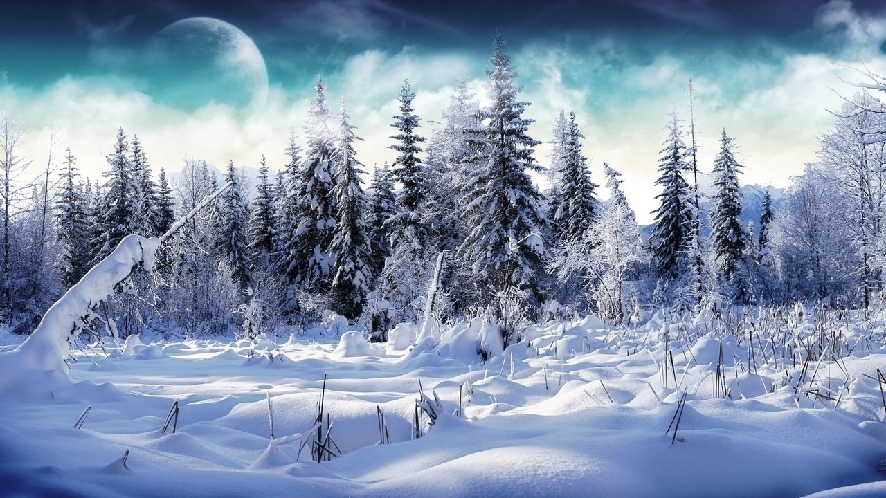 Обои небо, облака, деревья, снег, лес, зима, луна, the sky, clouds, trees, snow, forest, winter, the moon разрешение 1920x1200 Загрузить