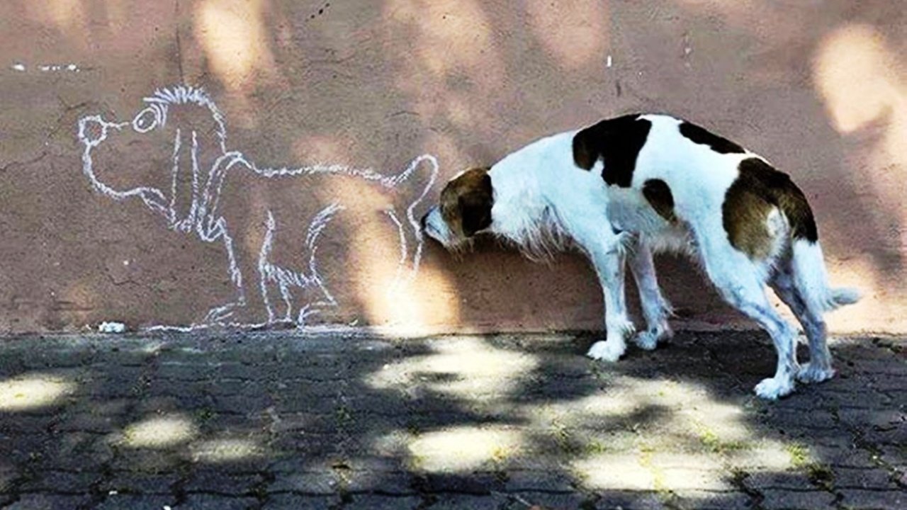 Обои рисунок, ситуация, стена, собака, figure, the situation, wall, dog разрешение 2500x1798 Загрузить