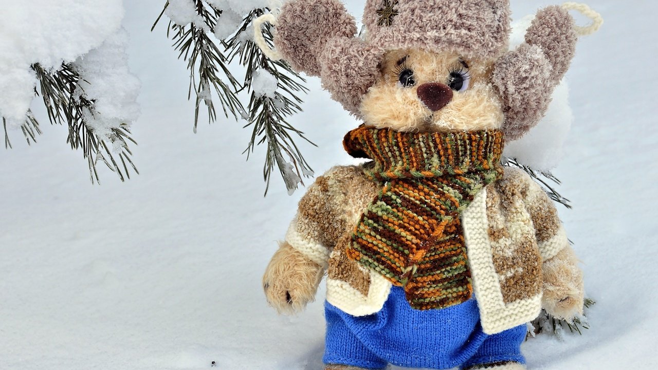 Обои снег, зима, игрушка, шапка, шарф, мягкая игрушка, snow, winter, toy, hat, scarf, soft toy разрешение 2400x1594 Загрузить