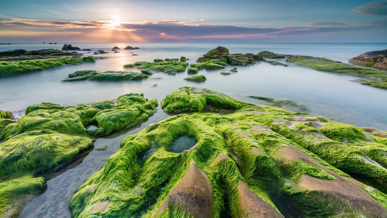 Обои камни, берег, закат, море, водоросли, stones, shore, sunset, sea, algae разрешение 2047x1315 Загрузить