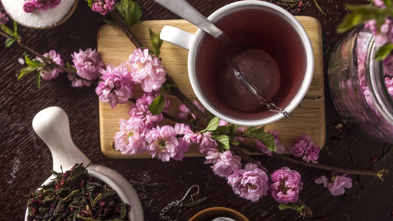 Обои сакура, чашка, чай, sakura, cup, tea разрешение 2400x1600 Загрузить