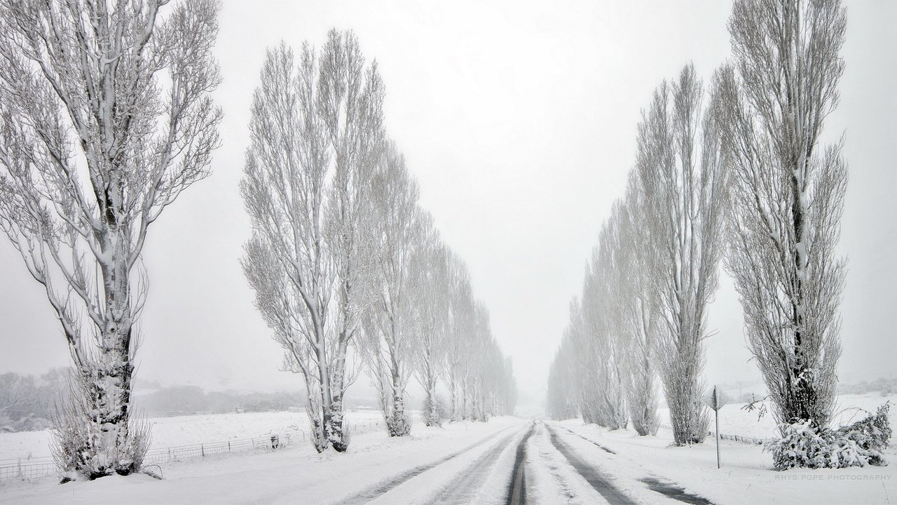 Обои дорога, деревья, снег, зима, road, trees, snow, winter разрешение 1920x1080 Загрузить