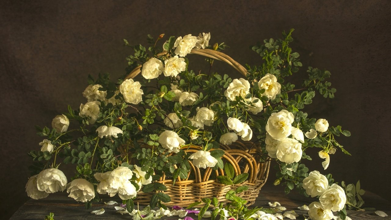 Обои розы, букет, корзина, композиция, roses, bouquet, basket, composition разрешение 2100x1399 Загрузить