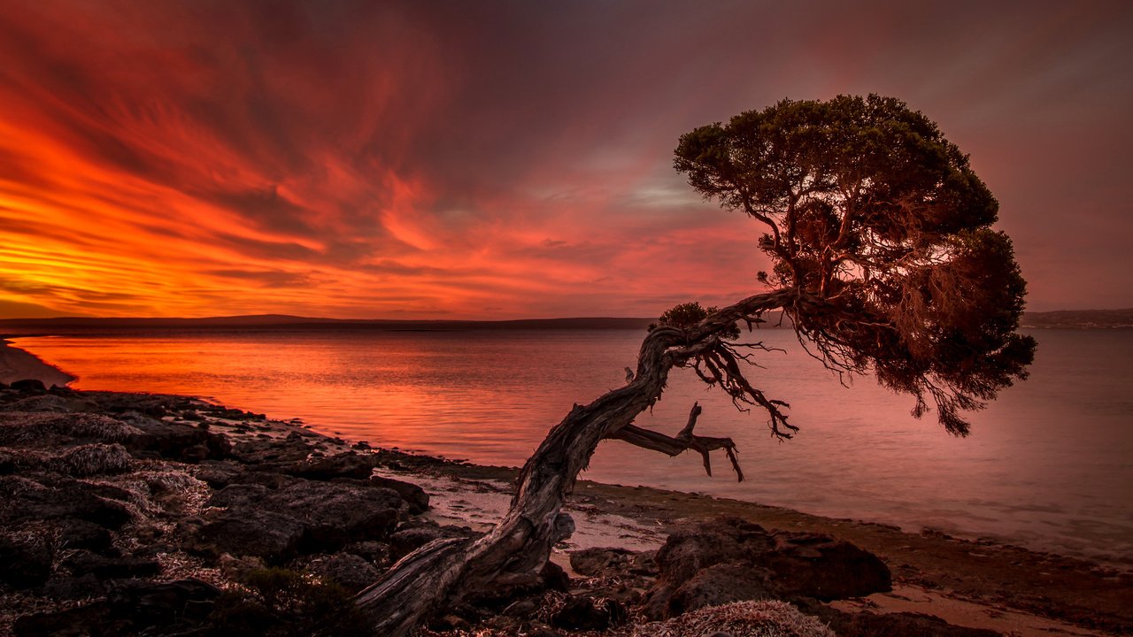 Обои озеро, дерево, берег, закат, зарево, lake, tree, shore, sunset, glow разрешение 2048x1137 Загрузить