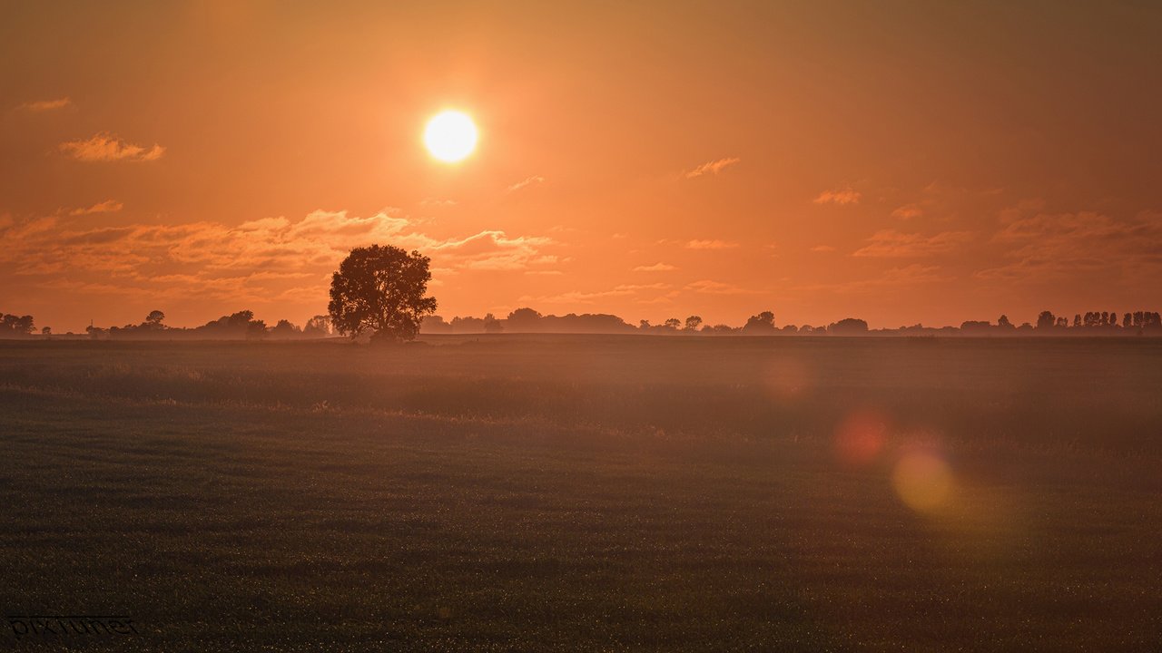 Обои небо, облака, солнце, утро, туман, поле, рассвет, the sky, clouds, the sun, morning, fog, field, dawn разрешение 1920x1080 Загрузить