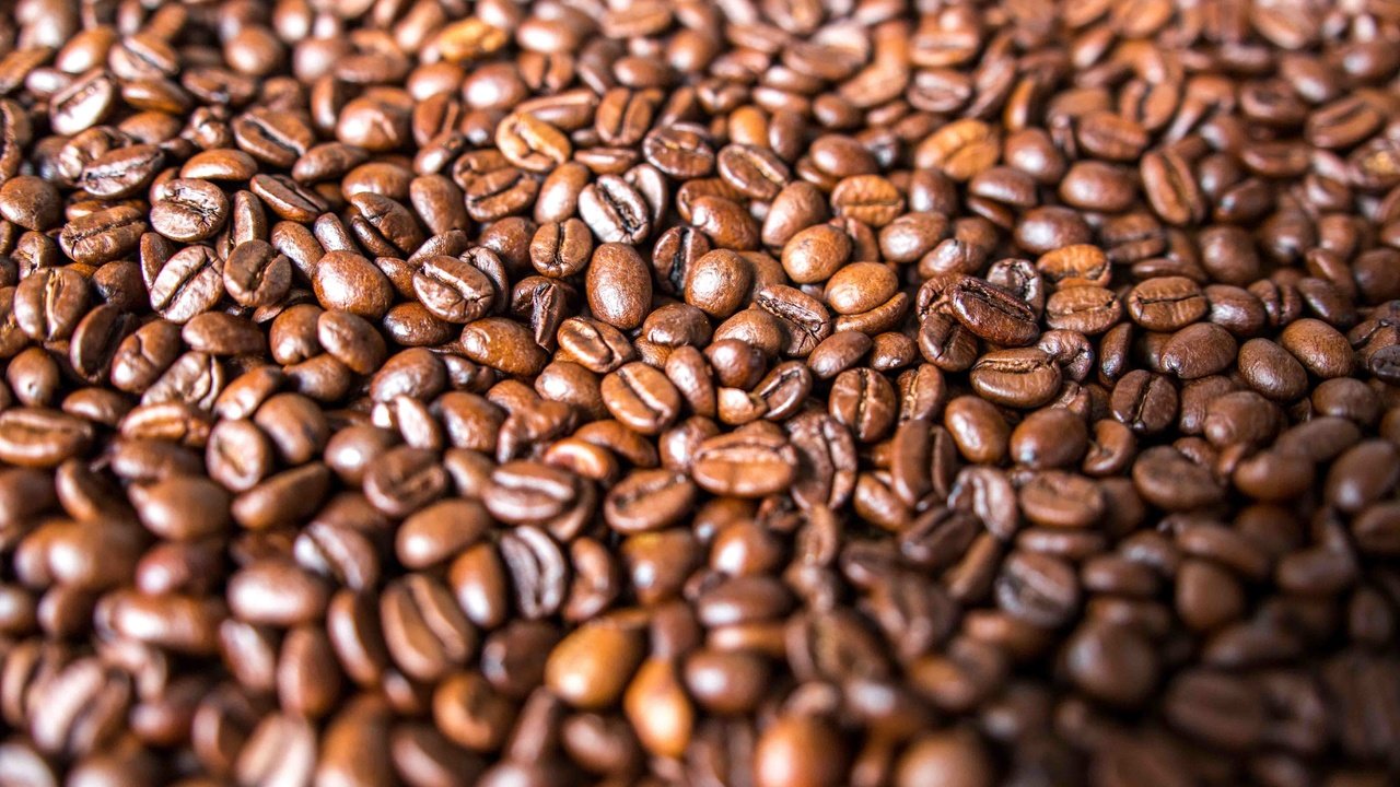 Обои зерна, кофе, много, кофейные зерна, grain, coffee, a lot, coffee beans разрешение 5472x3648 Загрузить