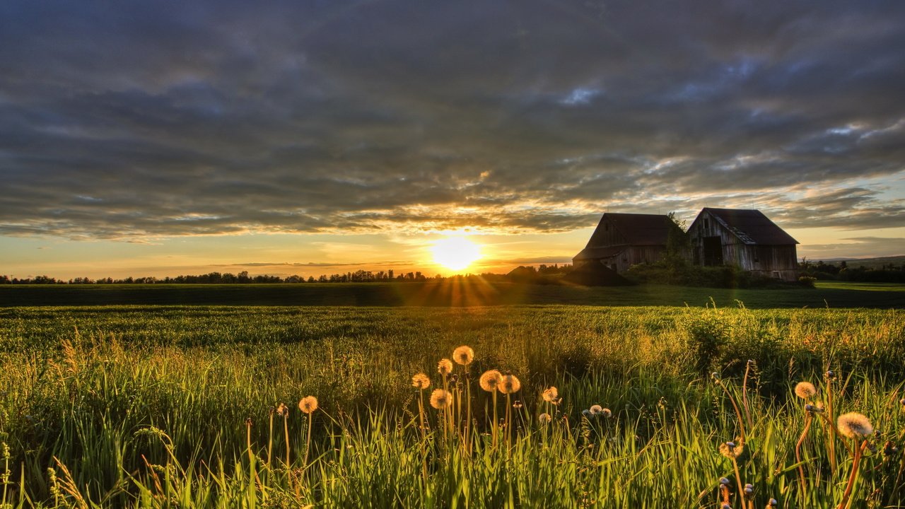 Обои закат, поле, лето, дом, sunset, field, summer, house разрешение 2560x1685 Загрузить