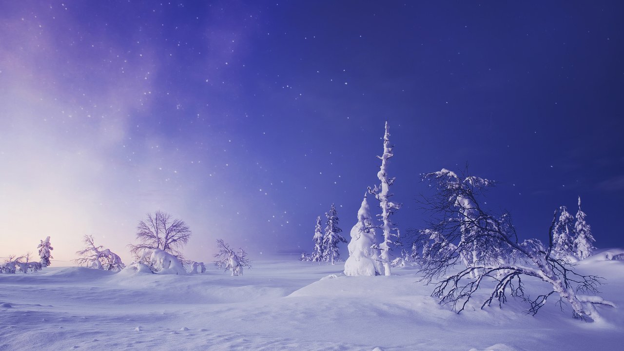 Обои деревья, снег, зима, звездное небо, сугробы, финляндия, лапландия, trees, snow, winter, starry sky, the snow, finland, lapland разрешение 2048x1367 Загрузить