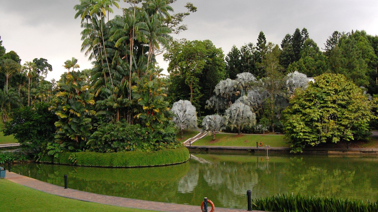Обои трава, botanic gardens, деревья, дизайн, парк, пальмы, пруд, газон, сингапур, grass, trees, design, park, palm trees, pond, lawn, singapore разрешение 2048x1365 Загрузить
