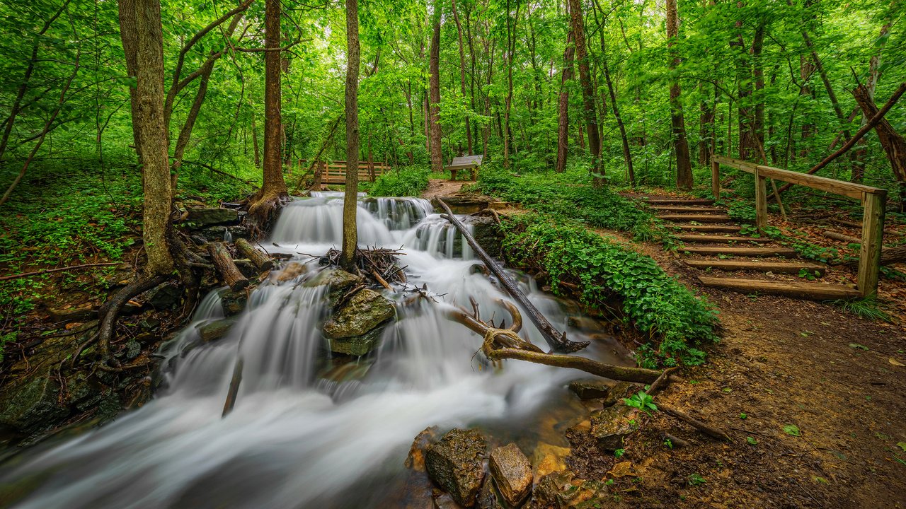 Обои трава, водопад, деревья, сша, камни, лавочка, зелень, parkville, missouri, лестница, парк, ручей, дорожка, grass, waterfall, trees, usa, stones, shop, greens, ladder, park, stream, track разрешение 2048x1152 Загрузить