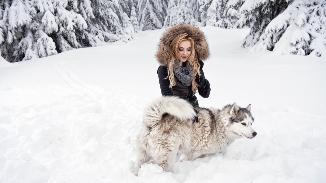Обои снег, лес, девушка, блондинка, взгляд, собака, хаски, snow, forest, girl, blonde, look, dog, husky разрешение 7360x4912 Загрузить