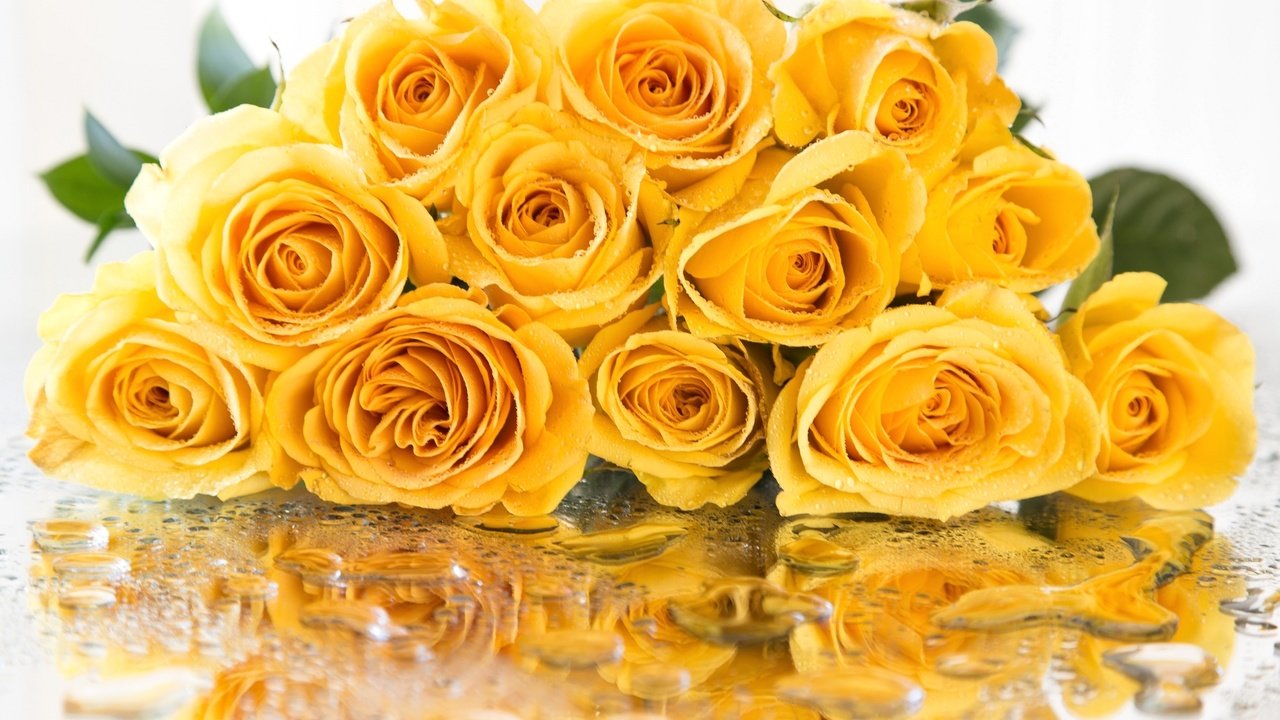 Обои отражение, капли, розы, букет, желтые, reflection, drops, roses, bouquet, yellow разрешение 2048x1365 Загрузить
