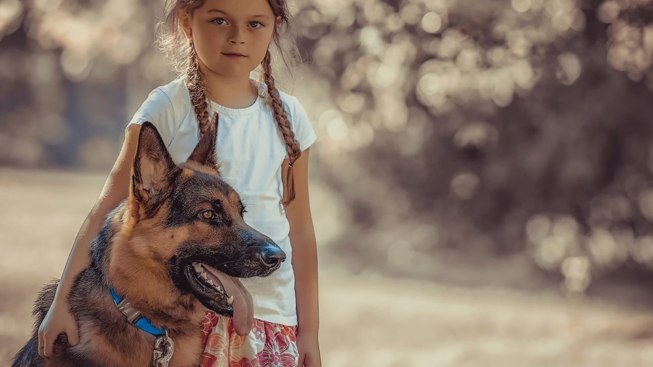 Обои собака, девочка, ребенок, друзья, немецкая овчарка, dog, girl, child, friends, german shepherd разрешение 1920x1200 Загрузить