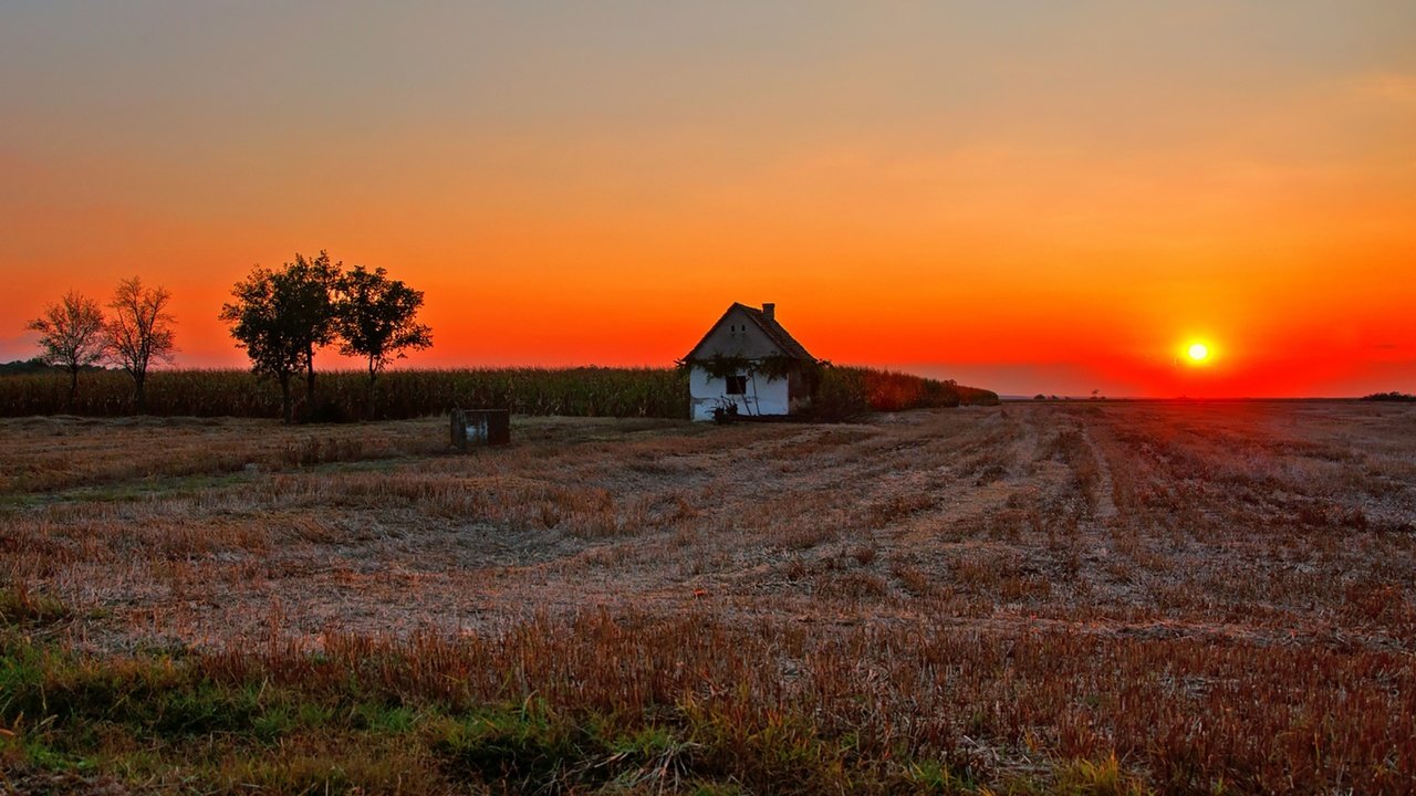 Обои dusk, солнце, fireball, полумрак, закат, countryside, farmland, поле, дом, сумерки, ферма, вс, сельская местность, the sun, sunset, field, house, twilight, farm, sun, the countryside разрешение 1920x1276 Загрузить