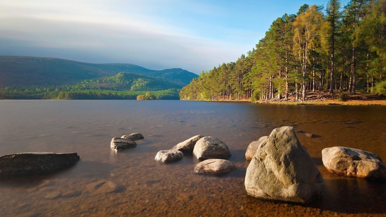 Обои вода, озеро, камни, берег, лес, отмель, water, lake, stones, shore, forest, shoal разрешение 1920x1080 Загрузить