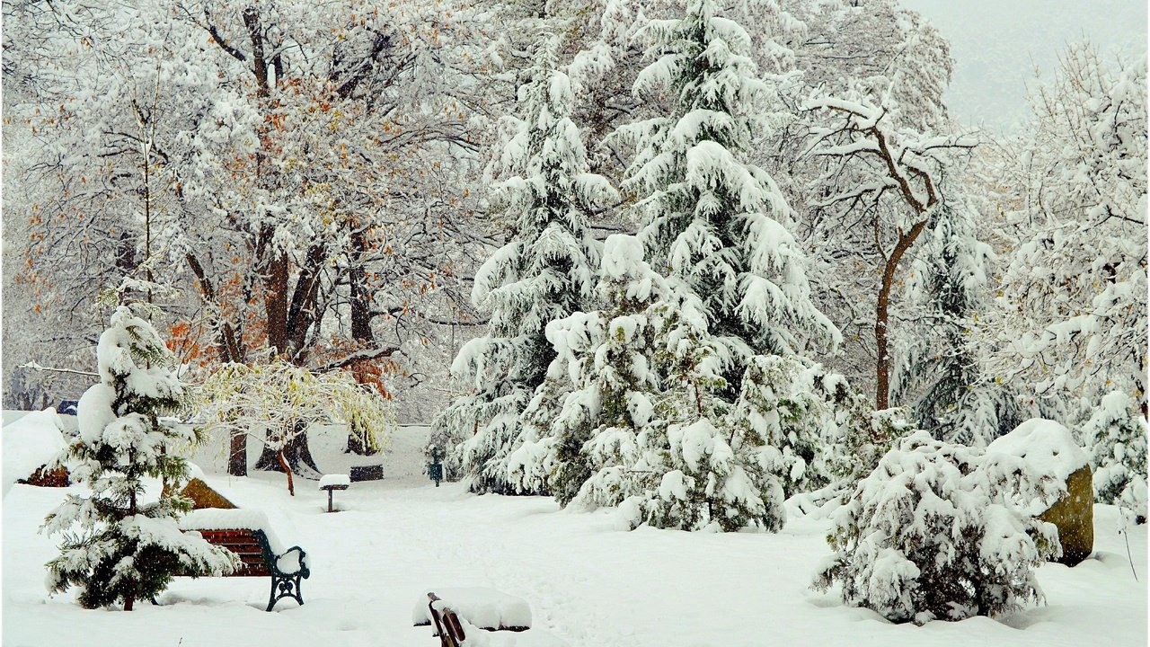 Обои деревья, снег, зима, парк, скамейки, деревь, изморозь, trees, snow, winter, park, benches, frost разрешение 3000x1910 Загрузить