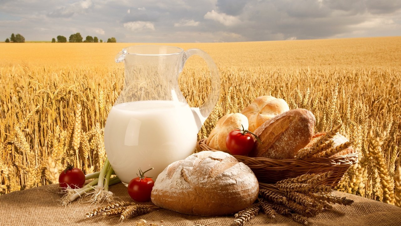 Обои поля, еда, пшеница, хлеб, молоко, кувшин, продукты, пища, field, food, wheat, bread, milk, pitcher, products разрешение 3000x2000 Загрузить