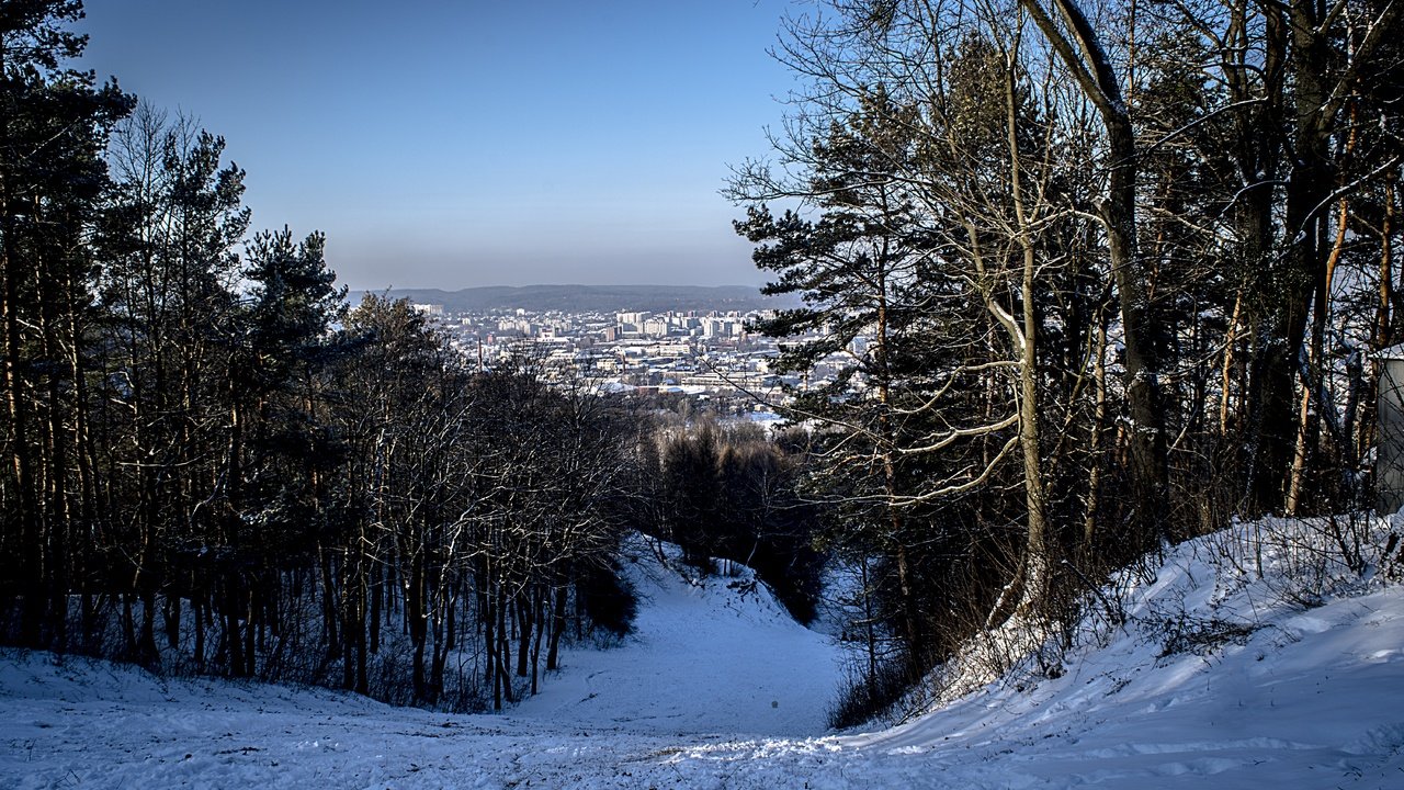 Обои снег, лес, зима, город, львов, snow, forest, winter, the city, lions разрешение 6000x4000 Загрузить