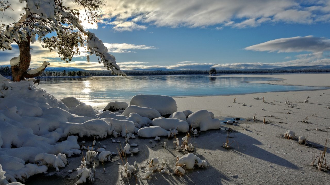 Обои зима, норвегия, hedmark fylke, tjernli, winter, norway разрешение 4000x2667 Загрузить