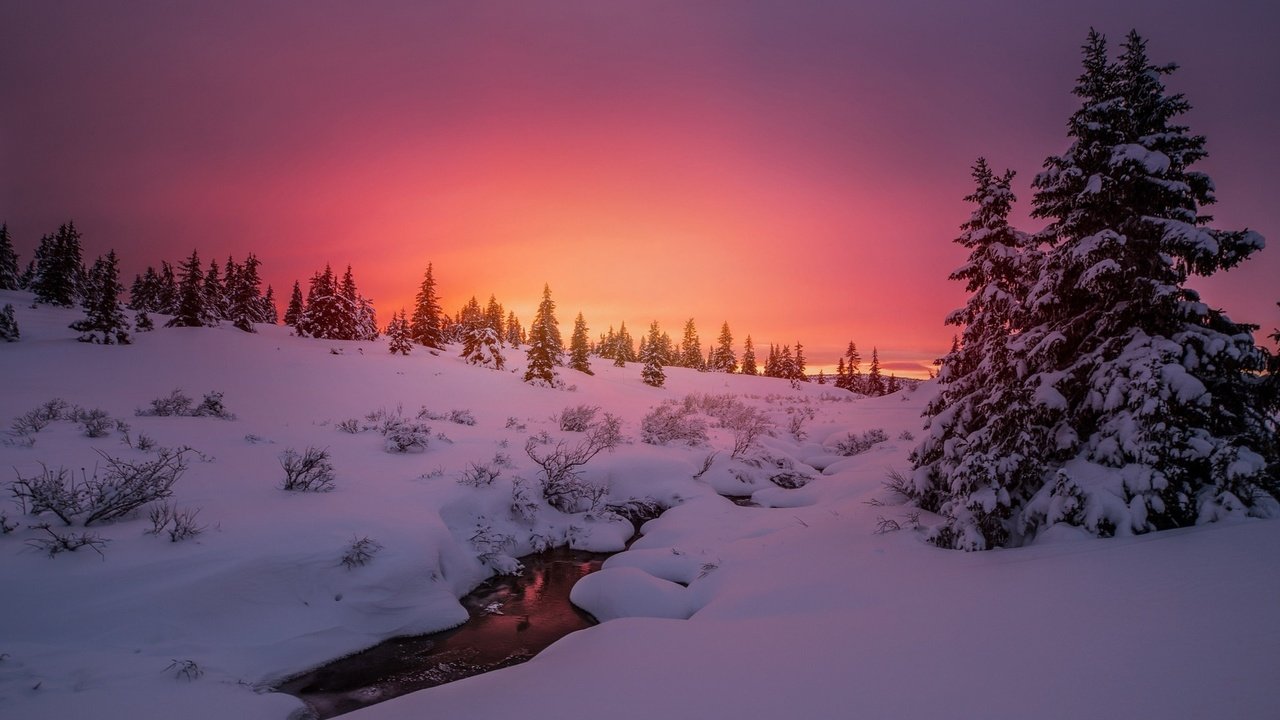 Обои деревья, вечер, река, снег, природа, закат, зима, елки, trees, the evening, river, snow, nature, sunset, winter, tree разрешение 2048x1272 Загрузить