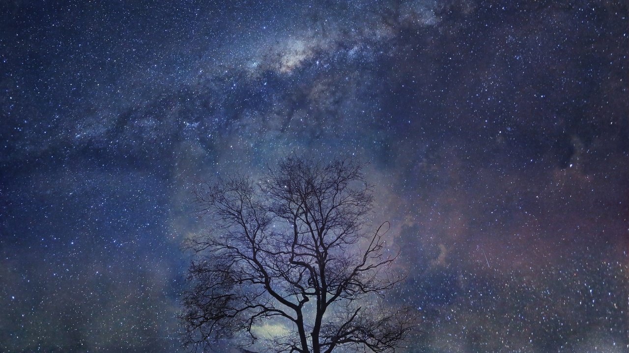 Обои ночь, дерево, звезды, night, tree, stars разрешение 2048x1774 Загрузить