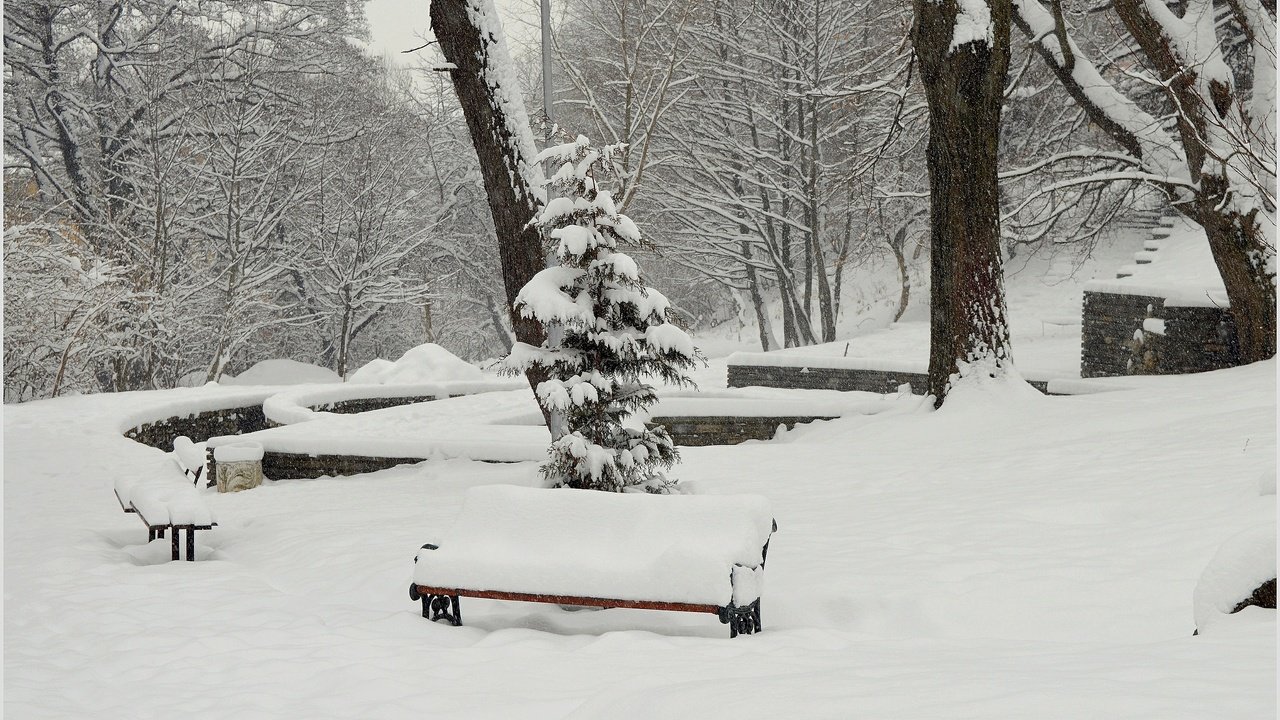 Обои деревья, снег, зима, парк, мороз, скамейки, сугробы, изморозь, trees, snow, winter, park, frost, benches, the snow разрешение 3016x1875 Загрузить