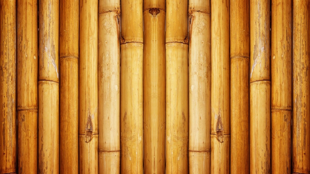 Обои текстура, узор, стена, бамбук, texture, pattern, wall, bamboo разрешение 5184x3456 Загрузить