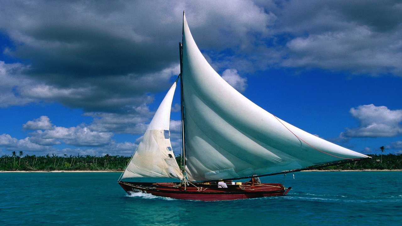 Обои море, лодка, пальмы, парус, sea, boat, palm trees, sail разрешение 2560x1600 Загрузить