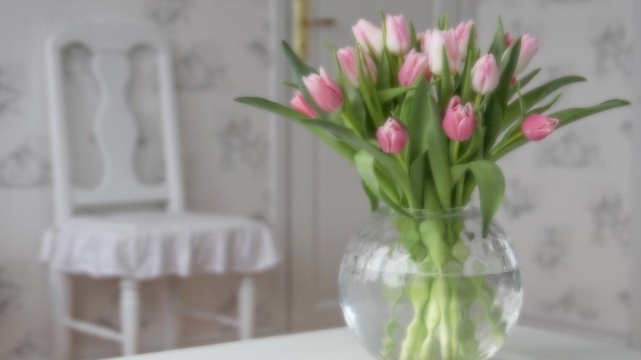 Обои цветы, бутоны, букет, тюльпаны, розовые, ваза, flowers, buds, bouquet, tulips, pink, vase разрешение 4810x3207 Загрузить