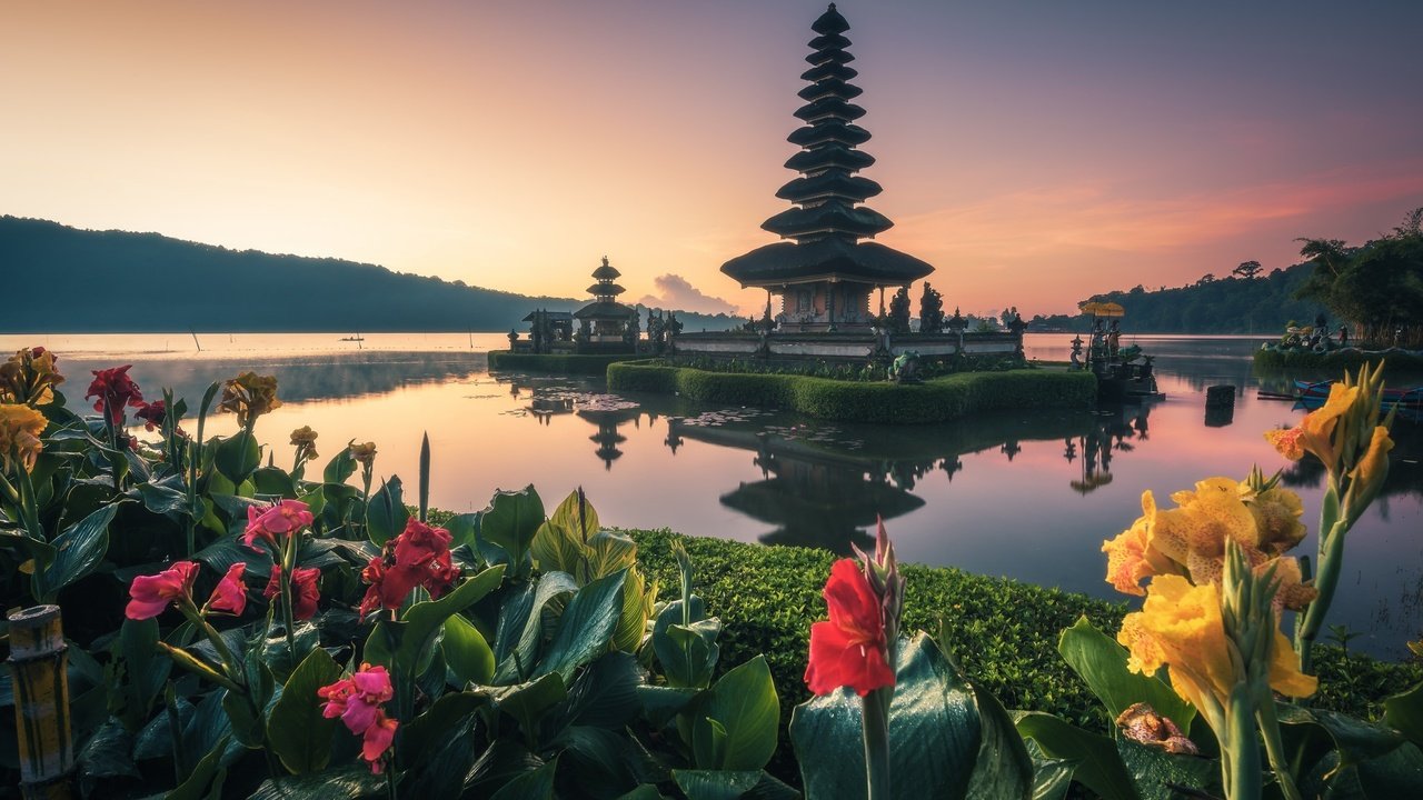 Обои цветы, вода, храм, бали, канна, flowers, water, temple, bali, kanna разрешение 2048x1367 Загрузить