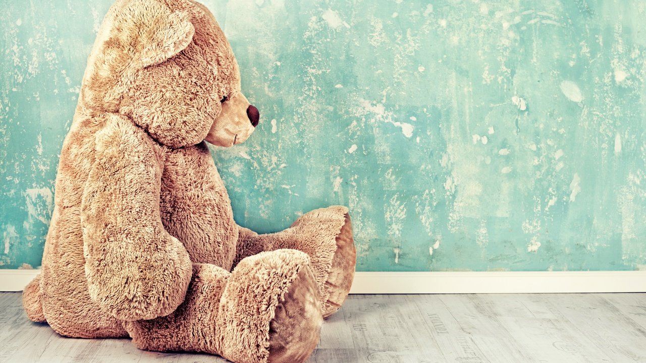 Обои стена, мишка, игрушка, сидит, wall, bear, toy, sitting разрешение 6361x4241 Загрузить