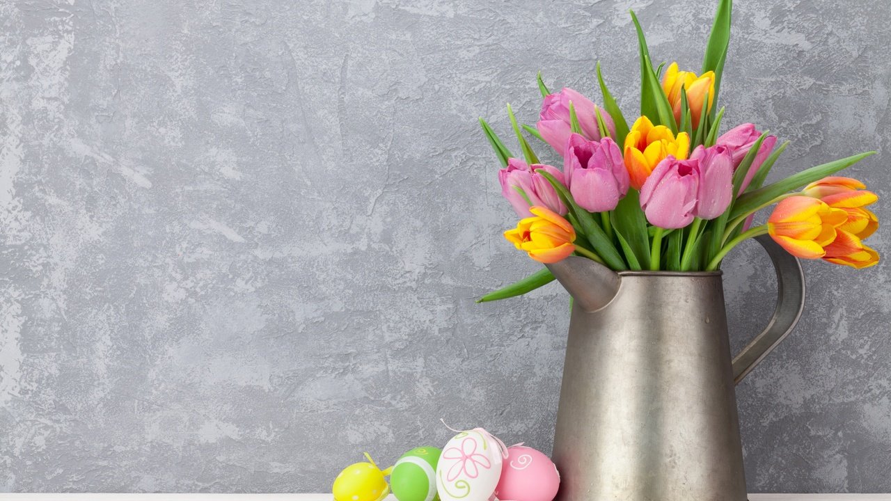 Обои цветы, зеленые пасхальные, довольная, тюльпаны, яйца крашеные, пасха, розовые тюльпаны, тульпаны,  цветы, глазунья, декорация, весенние, пинк, flowers, happy, tulips, the painted eggs, easter, pink tulips, eggs, decoration, spring, pink разрешение 5575x3717 Загрузить