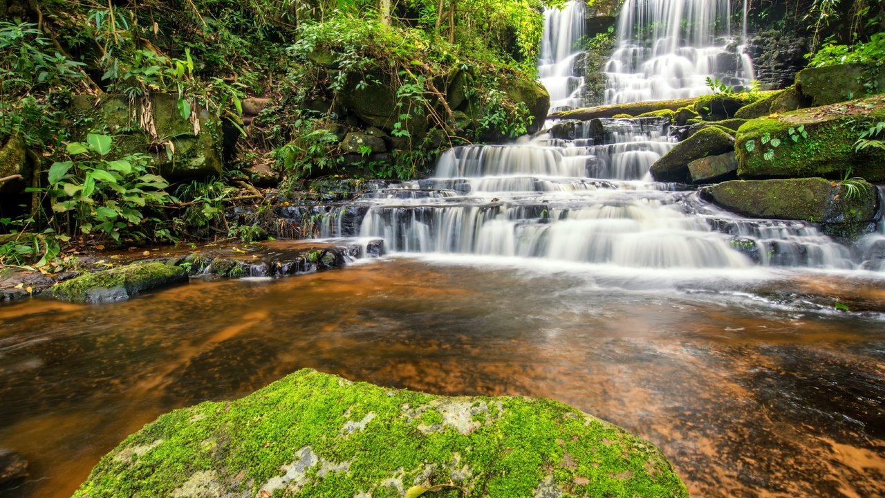 Обои река, лес, водопад, джунгли, ландшафт, красива, river, forest, waterfall, jungle, landscape, beautiful разрешение 6016x4016 Загрузить