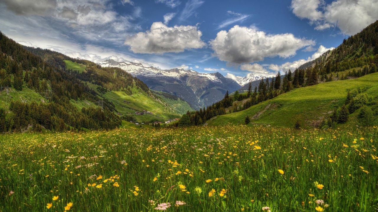 Обои цветы, трун, горы, граубюнден, швейцария, долина сурсельва, луг, весна, долина, альпы, перевал оберальп, flowers, troon, mountains, grisons, switzerland, valley of the surselva, meadow, spring, valley, alps, the oberalp pass разрешение 2000x1179 Загрузить