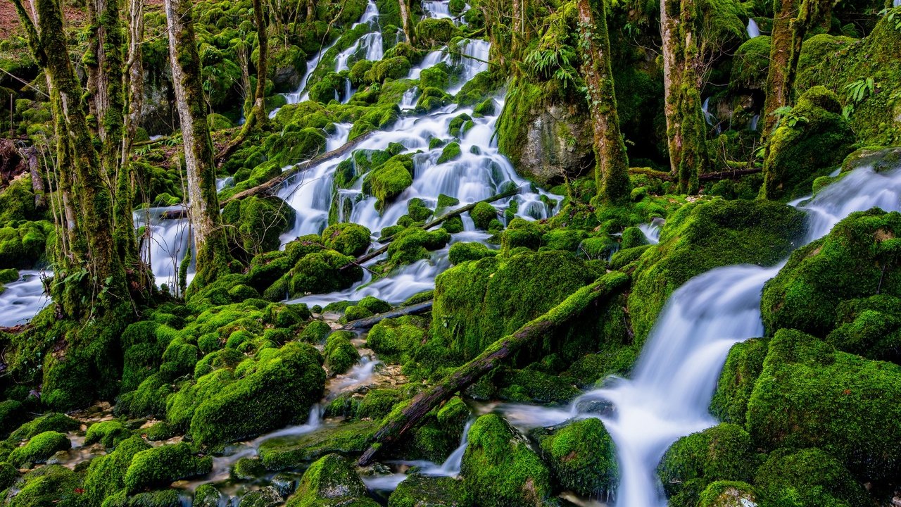 Обои деревья, вода, камни, лес, водопад, поток, мох, trees, water, stones, forest, waterfall, stream, moss разрешение 2048x1291 Загрузить