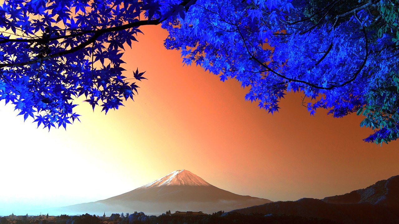 Обои дерево, листья, гора, япония, вулкан, фудзияма, tree, leaves, mountain, japan, the volcano, fuji разрешение 1920x1200 Загрузить