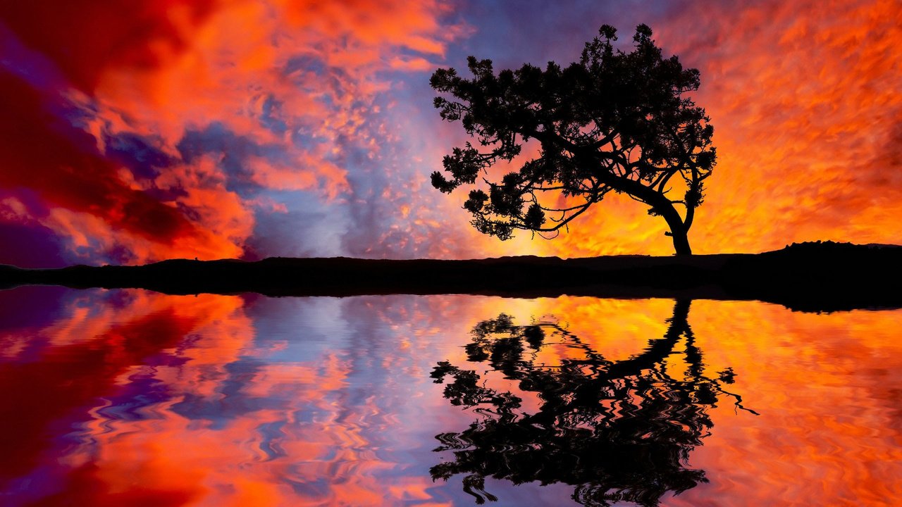 Обои небо, вода, природа, дерево, закат, отражение, the sky, water, nature, tree, sunset, reflection разрешение 2560x1600 Загрузить
