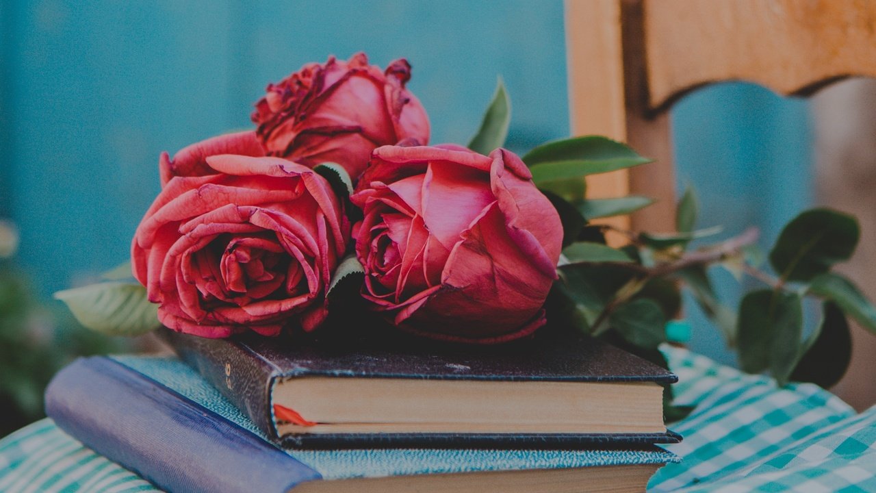 Обои цветы, бутоны, стиль, розы, книги, flowers, buds, style, roses, books разрешение 2560x1923 Загрузить