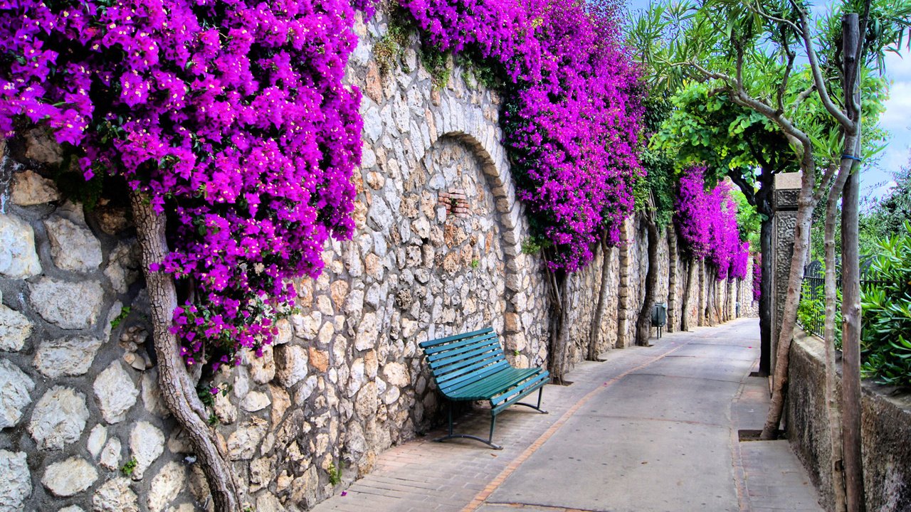 Обои цветы, дорожка, стена, улица, италия, романтика, скамейка, flowers, track, wall, street, italy, romance, bench разрешение 2560x1440 Загрузить